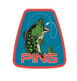 PING logo