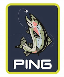 PING logo