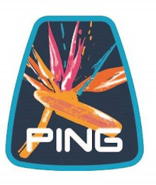 PING logo