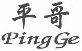 PING GE logo