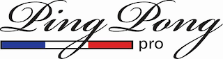 PING PONG PRO logo
