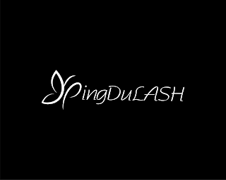PINGDULASH logo