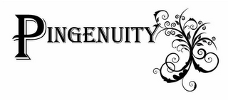 PINGENUITY logo