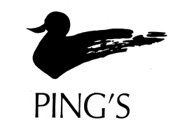 PING'S logo