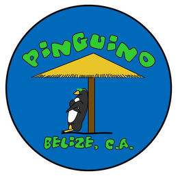 PINGUINO BELIZE, C.A. logo