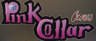 PINK COLLAR CRIMES logo