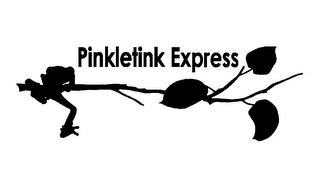 PINKLETINK EXPRESS logo