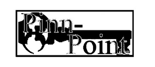 PINN- POINT logo