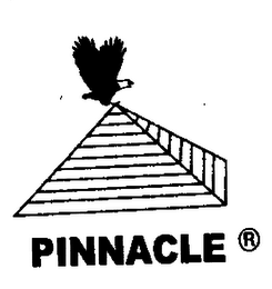 PINNACLE logo