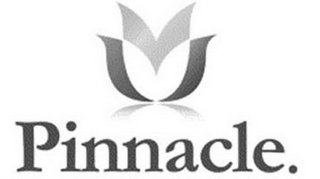 PINNACLE. logo