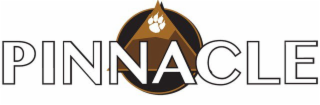 PINNACLE logo