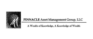PINNACLE ASSET MANGEMENT GROUP, LLC A WEALTH OF KNOWLEDGE, A KNOWLEDGE OF WEALTH logo