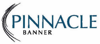 PINNACLE BANNER logo
