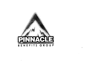 PINNACLE BENEFITS GROUP logo