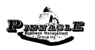 PINNACLE BUSINESS MANAGEMENT GROUP INC. logo