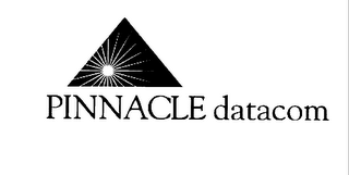 PINNACLE DATACOM logo