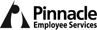 PINNACLE EMPLOYEE SERVICES logo