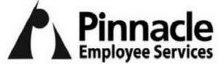 PINNACLE EMPLOYEE SERVICES logo