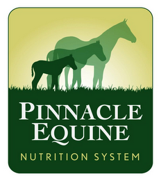 PINNACLE EQUINE NUTRITION SYSTEM logo