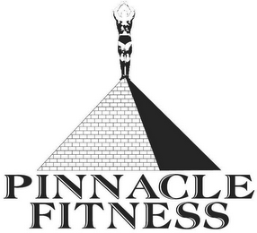 PINNACLE FITNESS logo