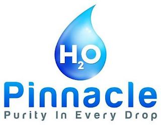 PINNACLE H2O PURITY IN EVERY DROP logo