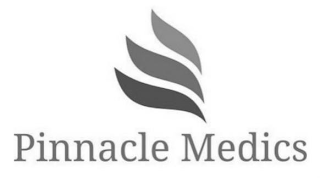 PINNACLE MEDICS logo