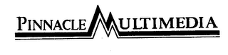 PINNACLE MULTIMEDIA logo