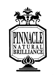 PINNACLE NATURAL BRILLIANCE logo