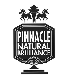 PINNACLE NATURAL BRILLIANCE logo
