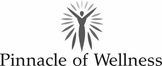 PINNACLE OF WELLNESS logo