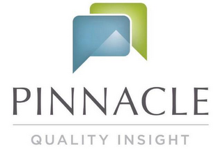 PINNACLE QUALITY INSIGHT logo