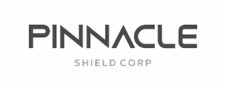 PINNACLE SHIELD CORP logo