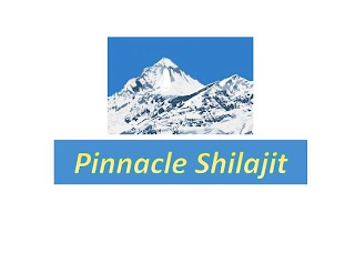 PINNACLE SHILAJIT logo