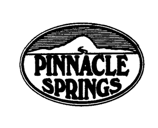 PINNACLE SPRINGS logo