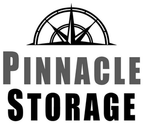 PINNACLE STORAGE logo