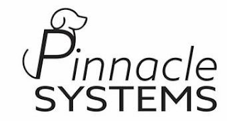 PINNACLE SYSTEMS logo
