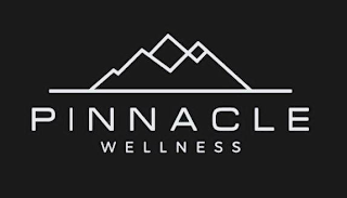 PINNACLE WELLNESS
