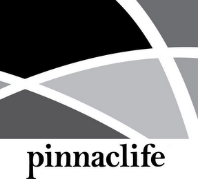 PINNACLIFE logo