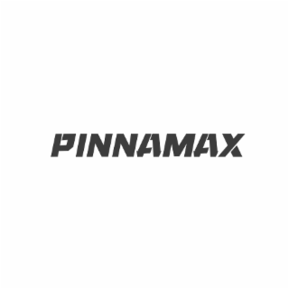 PINNAMAX logo
