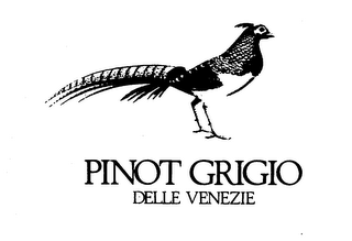 PINOT GRIGIO DELLE VENEZIE logo