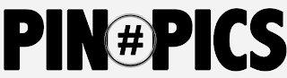 PIN#PICS logo