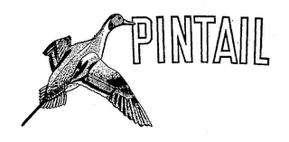 PINTAIL logo