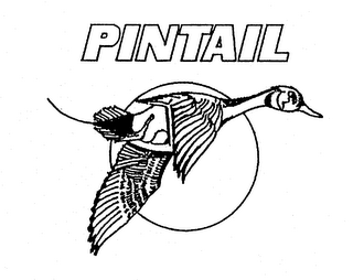 PINTAIL logo