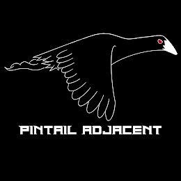 PINTAIL ADJACENT logo