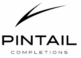 PINTAIL COMPLETIONS logo