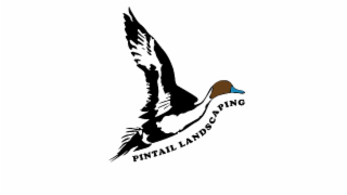 PINTAIL LANDSCAPING
