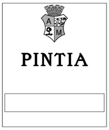 PINTIA logo