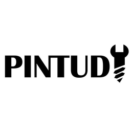 PINTUDY logo