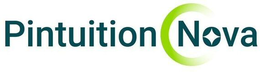 PINTUITION NOVA logo
