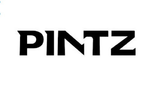 PINTZ logo